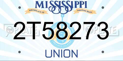 2T58273 Mississippi License Plate