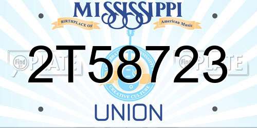 2T58723 Mississippi License Plate