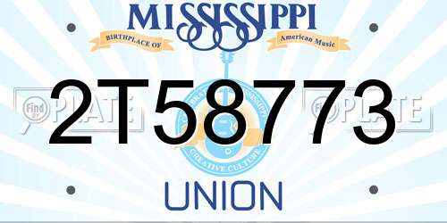 2T58773 Mississippi License Plate