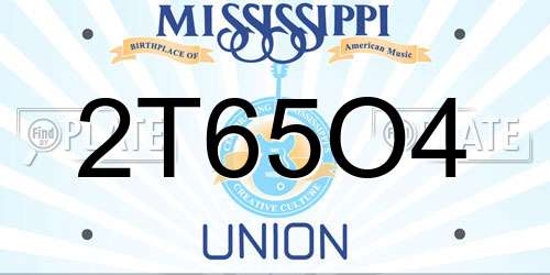 2T65O4 Mississippi License Plate