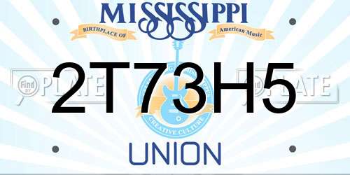 2T73H5 Mississippi License Plate