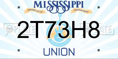 2T73H8 Mississippi License Plate