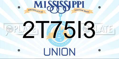 2T75I3 Mississippi License Plate