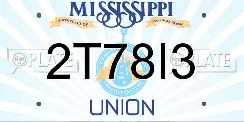 2T78I3 Mississippi License Plate