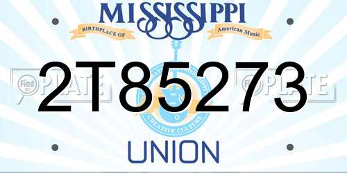 2T85273 Mississippi License Plate