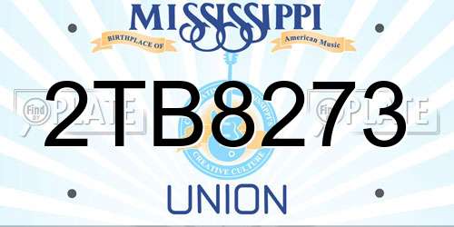 2TB8273 Mississippi License Plate