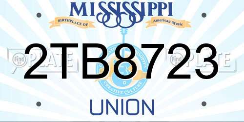 2TB8723 Mississippi License Plate