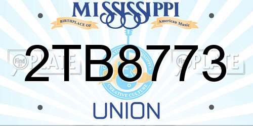 2TB8773 Mississippi License Plate