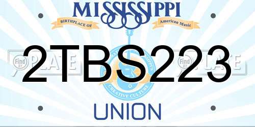 2TBS223 Mississippi License Plate