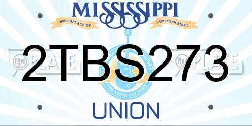 2TBS273 Mississippi License Plate