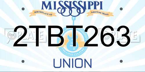 2TBT263 Mississippi License Plate