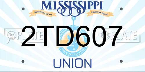 2TD607 Mississippi License Plate