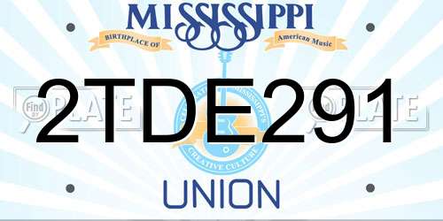 2TDE291 Mississippi License Plate