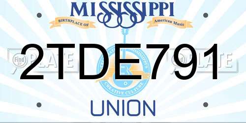 2TDE791 Mississippi License Plate