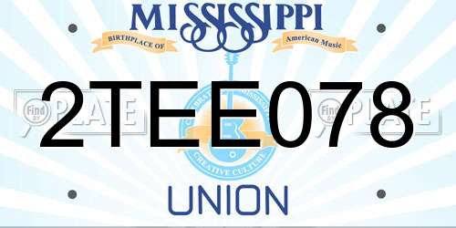 2TEE078 Mississippi License Plate