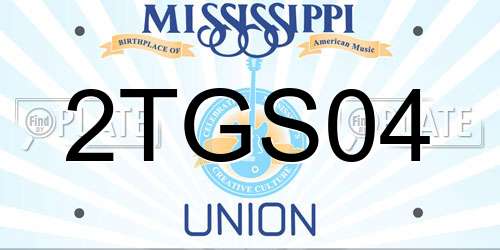 2TGS04 Mississippi License Plate