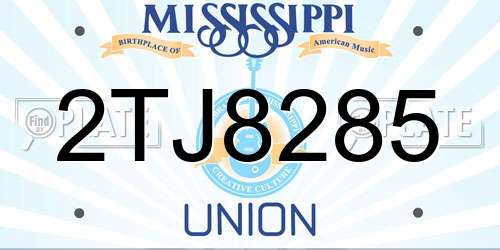 2TJ8285 Mississippi License Plate