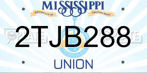 2TJB288 Mississippi License Plate