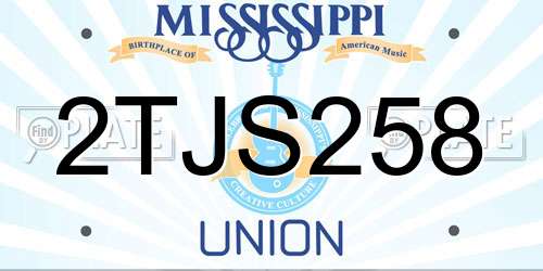 2TJS258 Mississippi License Plate