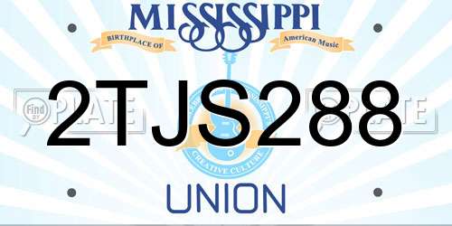 2TJS288 Mississippi License Plate