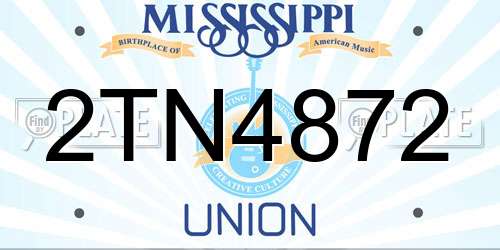 2TN4872 Mississippi License Plate