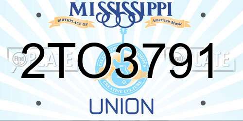 2TO3791 Mississippi License Plate