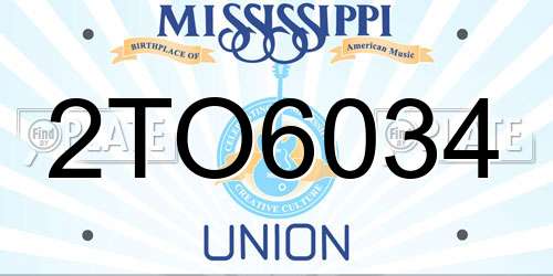 2TO6034 Mississippi License Plate