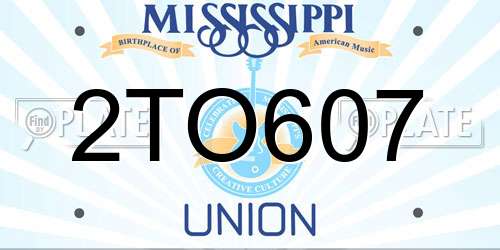 2TO607 Mississippi License Plate