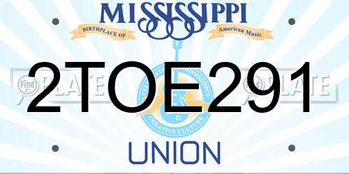 2TOE291 Mississippi License Plate