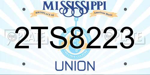 2TS8223 Mississippi License Plate