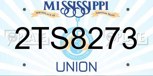 2TS8273 Mississippi License Plate