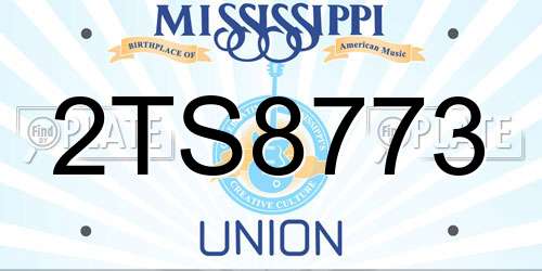 2TS8773 Mississippi License Plate