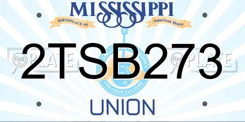 2TSB273 Mississippi License Plate