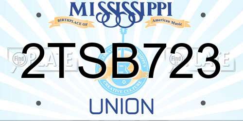 2TSB723 Mississippi License Plate