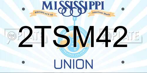 2TSM42 Mississippi License Plate