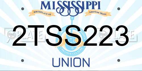 2TSS223 Mississippi License Plate