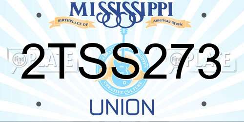 2TSS273 Mississippi License Plate