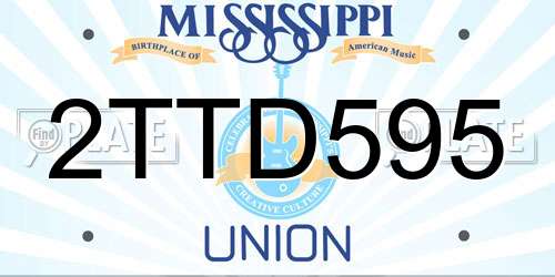 2TTD595 Mississippi License Plate