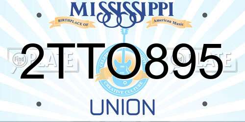 2TTO895 Mississippi License Plate
