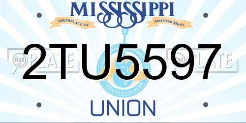 2TU5597 Mississippi License Plate