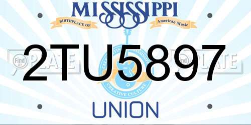 2TU5897 Mississippi License Plate