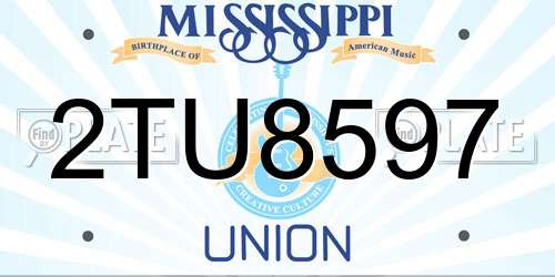 2TU8597 Mississippi License Plate