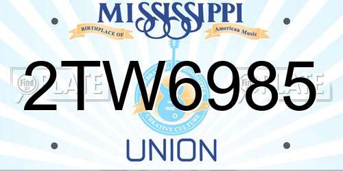 2TW6985 Mississippi License Plate