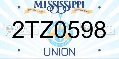 2TZ0598 Mississippi License Plate