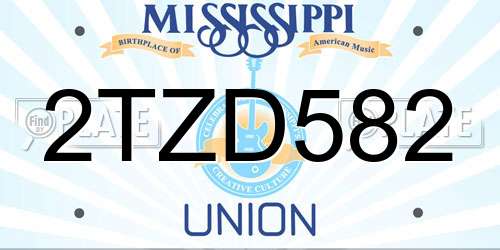 2TZD582 Mississippi License Plate