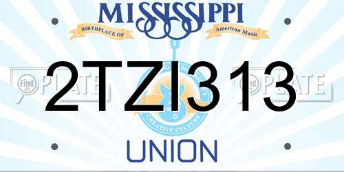 2TZI313 Mississippi License Plate