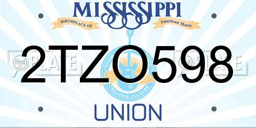 2TZO598 Mississippi License Plate