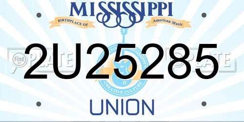 2U25285 Mississippi License Plate