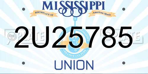 2U25785 Mississippi License Plate