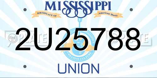 2U25788 Mississippi License Plate